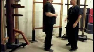 Master Jerry Cook Chinese Boxing 18 set Budda Palm / Wing Chun form10
