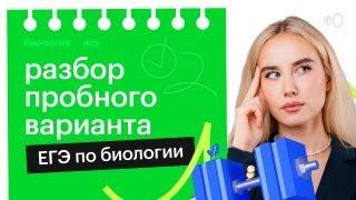 Разбор пробного варианта ЕГЭ