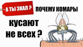 Почему КОМАРЫ кусают НЕ всех? А ТЫ ЗНАЛ?