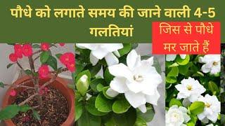 पौधे लगाते समय की गलतियां/Mistakes While Planting The Plant #homegarden #plants #nature #flowers