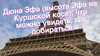 Дюна Эфа (высота Эфа на Куршской косе): что можно увидеть, как добираться