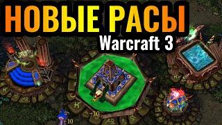 Вот это РАЗНООБРАЗИЕ! Новые Расы. 7 новых рас в Warcraft 3 Reforged