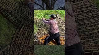 Eagle-Shaped Shelter Build: Solo Overnight Bushcraft from an Old Tent / Survival / Building /Camping