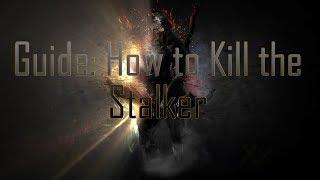 Warframe Guide How to Kill the Stalker (Outdated)