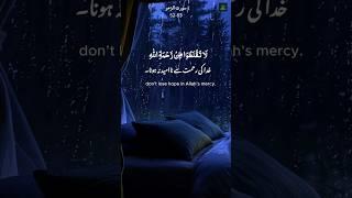 Surah Az-Zumar Ayat 52-53  with Urdu Translation | Arabic, English & Easy Explanation #shorts #quran