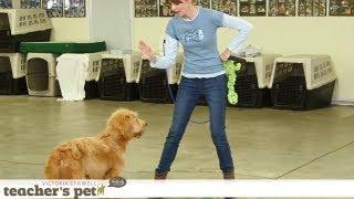 Impulse Control With Games | Teacher's Pet With Victoria Stilwell