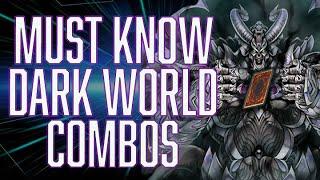 BASIC Dark World COMBOS you MUST KNOW!