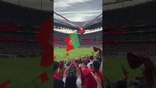 Portugal v Bosnia at the Estadio da Luz 2023  #portugal #estadiodaluz #bosnia