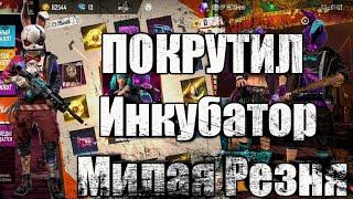 ЖЕСТЬ! ВЫБИЛ НОВЫЙ ИНКУБАТОР? МИЛАЯ РЕЗНЯ ИНКУБАТОР ФРИ ФАЕР!!!