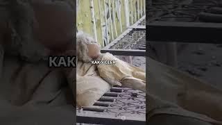 Топ 3 факта о заброшенных квартирах Припяти #science #Chernobyl #interesting #Чернобыль #funny #Utra