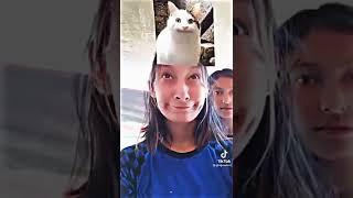 jedag jedug filter kucing firal di tiktok #firal