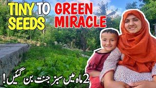 Tiny Seeds, Big Change - Arjumand Village Life Gardening  Journey! | Vlogs New Video