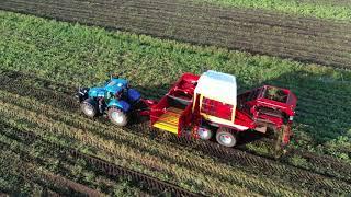 Grimme EVO 290