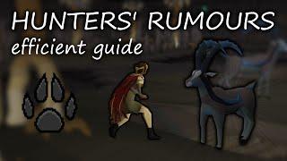 Efficient Hunters' Rumours Guide