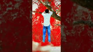 #Viral#Tik tok#Someshphotography