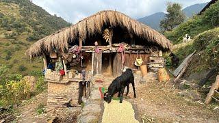 The Determined lifestyle Of hardworking Nepali mountain villages | Daily activities |TheVillageNepal