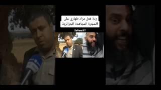 مراد طهاري و الشجرة #مراد_طهاري #مراد_الطهاري #ميمز_ضحك #الجزائر #المغرب #تونس #fypシ゚ #funny #fyp