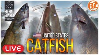 We're after UNIQUE US Catfish! (Channel, Flathead, Blue) l Fishing Planet [LIVE]