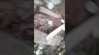 Celana dalam bekas pakai sd smp warna warni