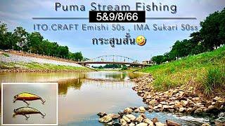 ITO.CRAFT Emishi 50s & IMA Sukari 50ss | กระสูบสั้น