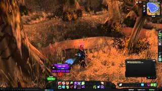 World of Warcraft Quest: Перья Кровавой Топи (id=27407)