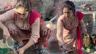 Washing My Beautiful Flowers _ Desi Aunty New Vlog _ Village Life In Pakistan  _ Hot Cleaning Vlog