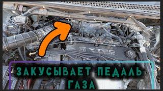 ЗАКУСЫВАЕТ ПЕДАЛЬ ГАЗА. БОЛЬШЕ НЕТ ! 