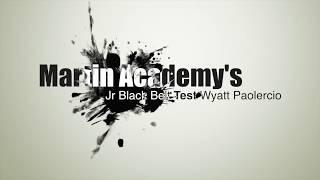 Sarasota Children's Self Defense - Martin Academy of Martial Arts
