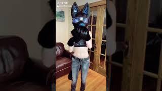 Furry Fandom: Dance Chain of Aug 2020