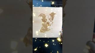 Laser Engraving a puppy dog photo on wood with ComMarker Omni 1 laser!