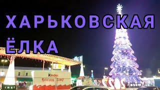 Харьков 2021. Открытие главной ёлки в городе. Opening of the main Christmas tree in the city.