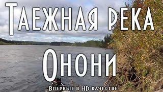 Таежная река Онони (в HD) Far East Russian taiga