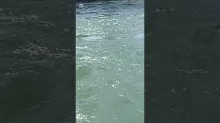 ‍Laz kızı #beşikdüzlü#Parmakliklar ardında #yuotube