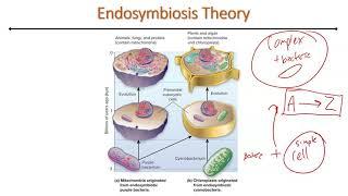 SemiAutonomous Organelles