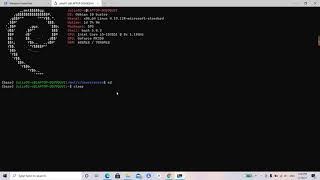 Getting started with Debian Linux on WSL 2 with GPU support.