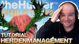 Herdenmanagement im Detail, Diamanten im Überfluss & Great One spawnen! | theHunter Call of the Wild