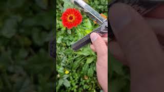 Buryat 2 Titanium Justus Knives Russia #justusknives #customknife #statusknife