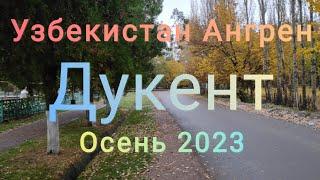 Узбекистан Ангрен Дукент. Осень 31 октября 2023 г.