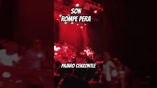 PAJARO CENZONTLE #cumbias