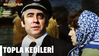 Topla Kedileri | Çöpçüler Kralı