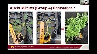 Strategic Farming 2023: Weed management in an era of increasing herbicide resistance