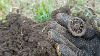 Тогорічній коп. Те, що я вам ще не показала))