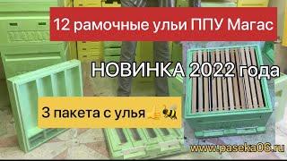 УЛЕЙ ППУ МАГАС на 12 РАМОК. НОВИНКА 2022