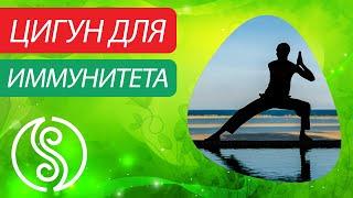 Цигун для укрепления иммунитета. Цигун для начинающих. Уроки цигун.