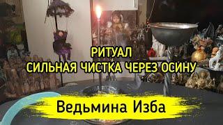 СИЛЬНАЯ ЧИСТКА ЧЕРЕЗ ОСИНУ. ДЛЯ ВСЕХ. ВЕДЬМИНА ИЗБА ▶️ МАГИЯ