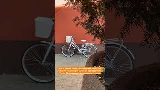 Visitor Fashion Nexus–классический городской женский велосипед от сербского производителя.