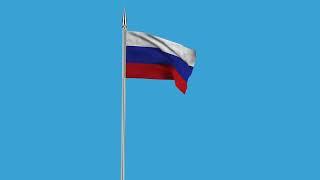 russian flag with eagle | russian flag green screen video