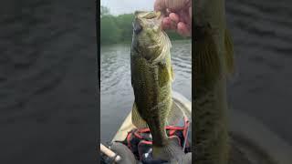 Beautiful day catching bass