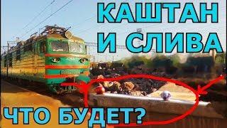 VLOG ПРОГУЛКА С ПОЕЗДАМИ /КЛАДЁМ ПОД ПОЕЗД КАШТАН И СЛИВУ/МНОГО ПОЕЗДОВ