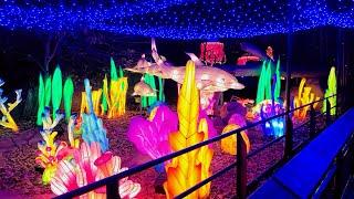 Holiday Lights Shine Bright at the Bronx Zoo | 2024